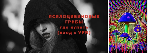 ECSTASY Козловка