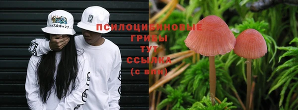 ECSTASY Козловка