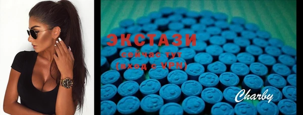 ECSTASY Козловка