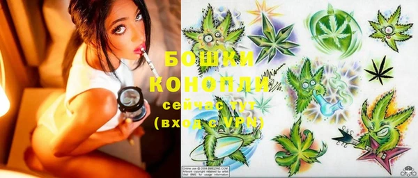 ECSTASY Козловка
