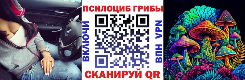 Галлюциногенные грибы мицелий  Купить  Пустошка 